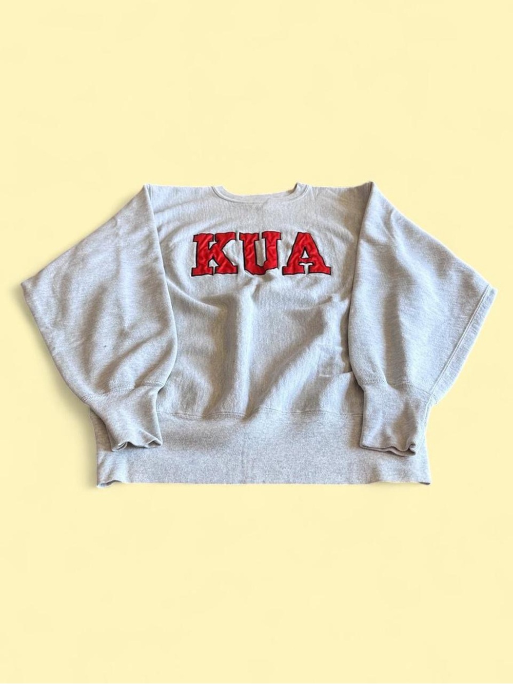 Vintage Champion Reverse Weave KUA Sweatshirt Made in USA Gray Men’s L